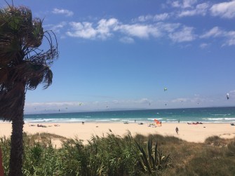 2016-06-15 13.41.27.jpg